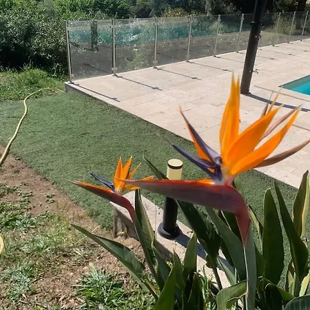 Corsicadream Cupabia, Dans Proche Porticcio, Vue Mer, Piscine Pietrosella