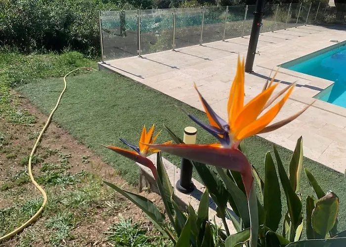 Corsicadream Cupabia, Dans Proche Porticcio, Vue Mer, Piscine Pietrosella