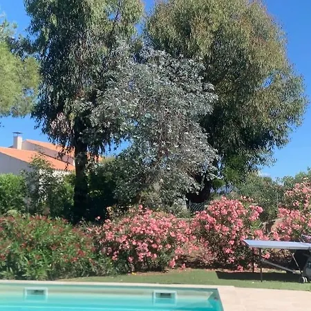 Corsicadream Cupabia, Dans Proche Porticcio, Vue Mer, Piscine Pietrosella