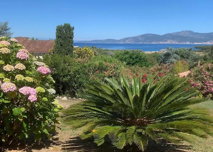 Corsicadream Cupabia, Dans Proche Porticcio, Vue Mer, Piscine Daire